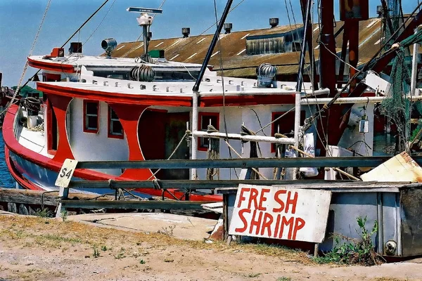 Garnalen Boot Gedokt Het Centrum Van Pensacola Pensacola Florida — Stockfoto