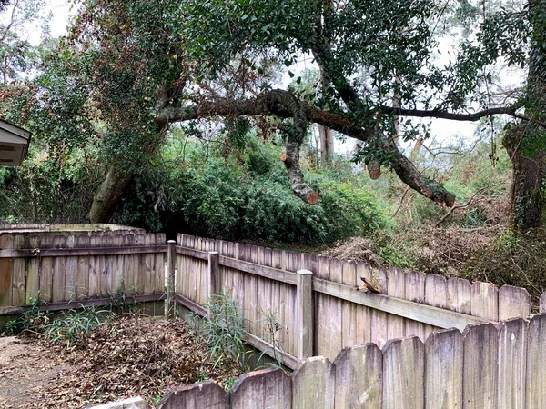 Tree and property damage from Hurricane Sally, September 17, 2020, Pensacola, Florida, USA