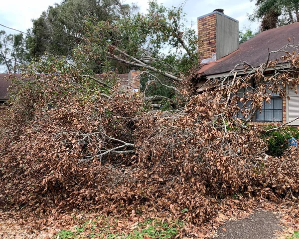 Daños Árboles Propiedades Causados Por Huracán Sally Septiembre 2020 Pensacola — Foto de Stock