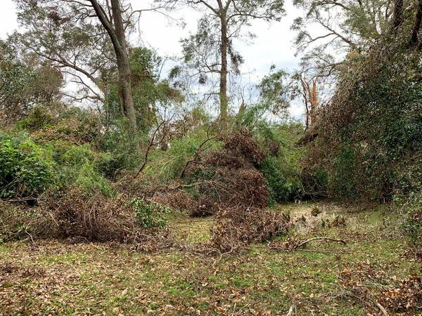 Tree and property damage from Hurricane Sally, September 17, 2020, Pensacola, Florida, USA