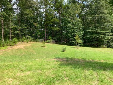 ABD 'nin Alabama kırsalındaki açık hava manzarası