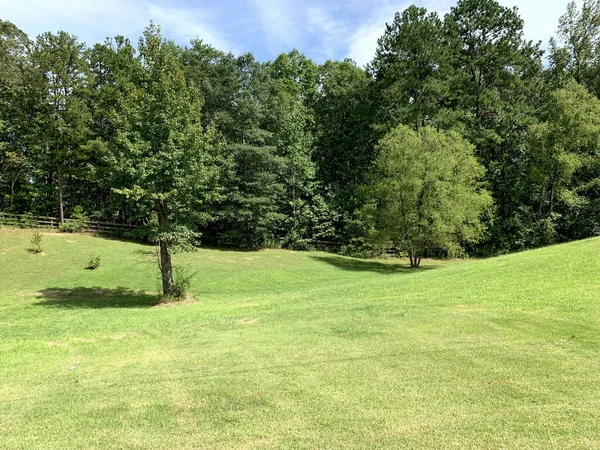 Outdoor Landscape Setting Rural Alabama Usa — Stock Photo, Image