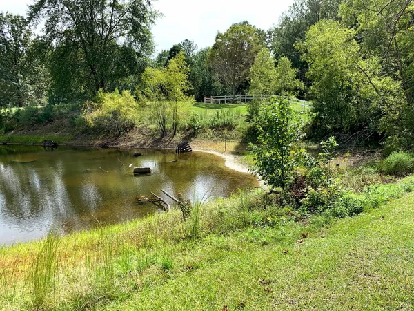 Estanque Entorno Natural Aire Libre Alabama — Foto de Stock