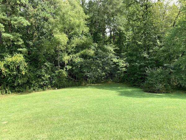 ABD 'nin Alabama kırsalındaki açık hava manzarası