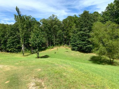 ABD 'nin Alabama kırsalındaki açık hava manzarası