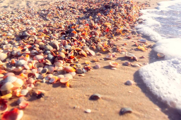 Costa Del Mare Con Mare Blu Costa Dalle Conchiglie — Foto Stock