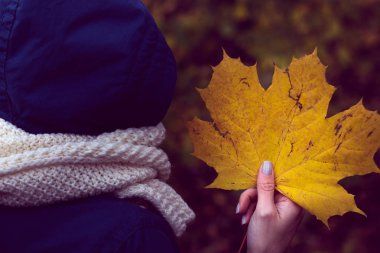 mavi bir ceket ile geri döndü kız sonbahar sarı akçaağaç yaprağı tutan