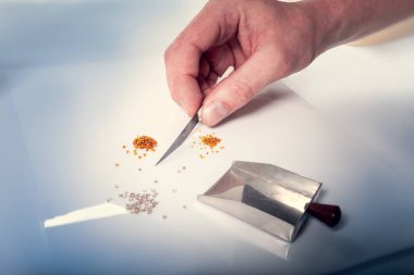 Bir adamın elini elmas sıralar