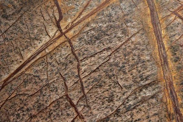Abstrakt Bidaser Brown Marmor För Bakgrundsmönster Och Textur — Stockfoto
