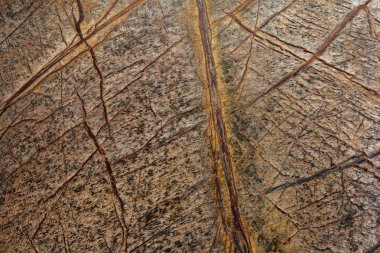 arka plan deseni ve doku için soyut Bidaser kahverengi mermer