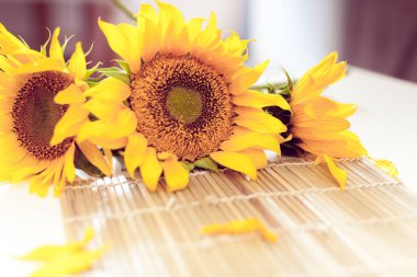 üç sarı ayçiçeği 