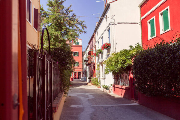 Street on a Burano island with red houses
