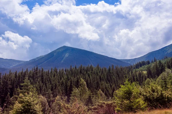 Köknar ağaçları ve gökyüzü ile karpatdağların manzara — Stok fotoğraf