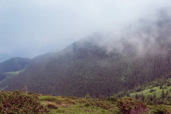 Karpatské hory v mlze — Stock fotografie