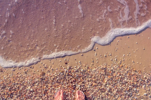 La costa del mare dalle conchiglie — Foto Stock