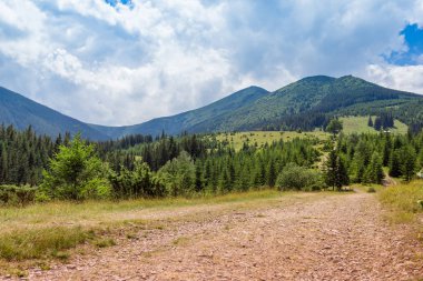 yaya yolu ile bir Karpat Dağları peyzaj, köknar-ağaçlar bir
