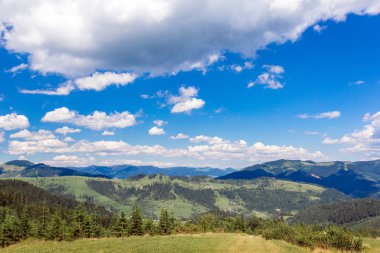 köknar ağaçlarının, çimenli vall Karpatlar dağlarla peyzaj