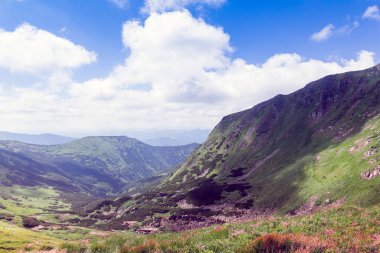 çimenli dağın tepesinde dağlar arasında