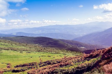 bir Karpat Dağları peyzaj