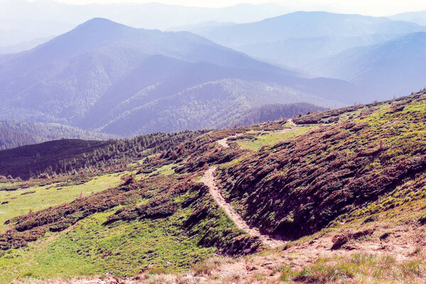 landscape of a Carpathians mountains