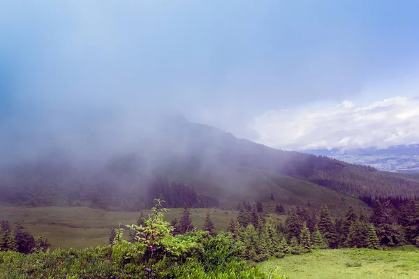 Bir Karpat Dağları peyzaj — Stok fotoğraf