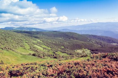 Bir Karpatlar dağından oluşan manzara