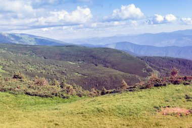 Bir Karpatlar dağından oluşan manzara