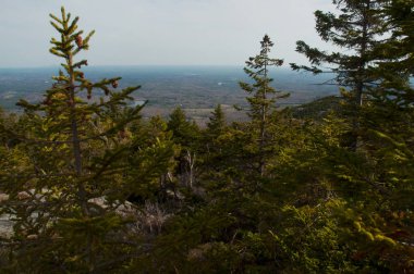 Dağ tarafında aracılığıyla güzel bir manzara çam ağaçlarının üzerinden görüntülemek