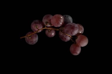 Küçük kırmızı üzüm ile demet izole üzerinde siyah arka plan kök