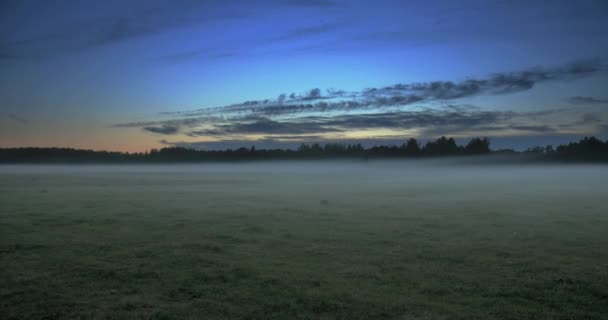 背景の木と流れる霧のフィールドの上に移動する雲の時間経過 — ストック動画