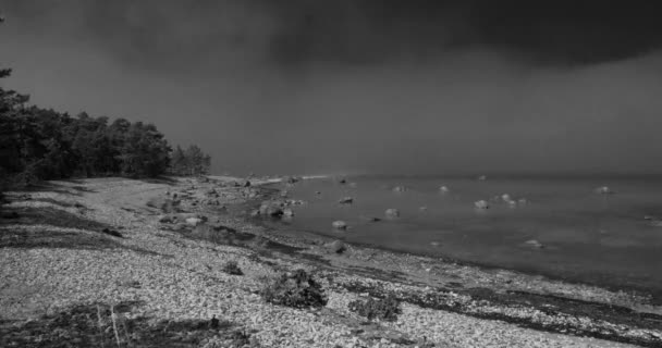 まだ海の上の木と岩の海岸に移動する雲の黒と白の時間の経過 — ストック動画