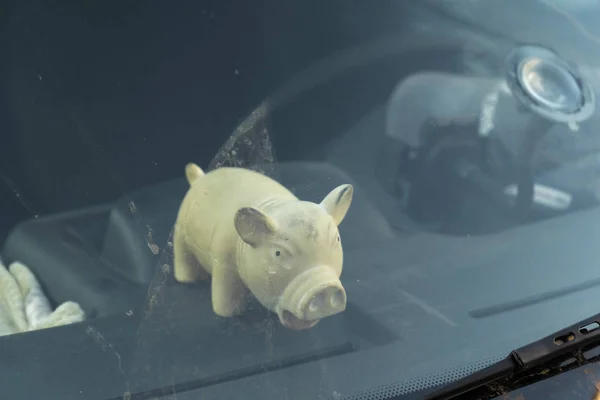 Bonito brinquedo de porco gordo atrás de uma janela de pára-brisa de carros — Fotografia de Stock