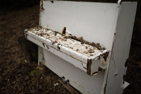 Старое винтажное белое пианино в лесу
