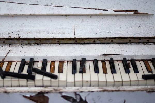 Velho piano branco vintage em uma floresta — Fotografia de Stock