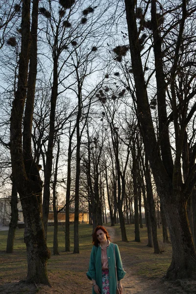 Joven ornitóloga observando las torres anidando en lo alto de los árboles en primavera - Bauska, Letonia, 2019 —  Fotos de Stock
