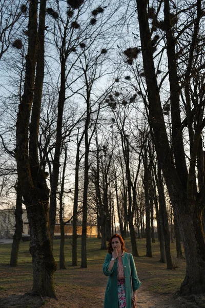 Joven ornitóloga observando las torres anidando en lo alto de los árboles en primavera - Bauska, Letonia, 2019 —  Fotos de Stock