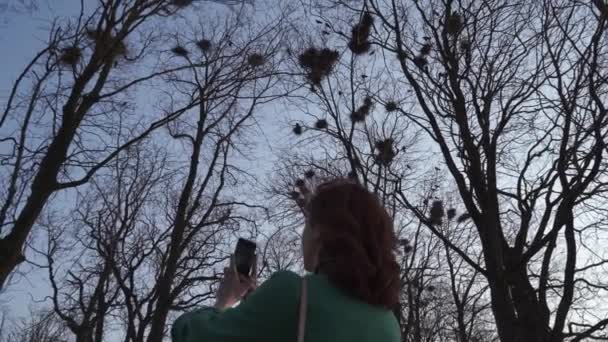 Mujer joven ornitóloga tomando fotos de torres anidando en lo alto de los árboles, cantando y volando, junto a su teléfono - Nido de torre - La primavera está aquí — Vídeos de Stock