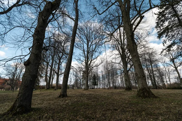 Liepupe, Lettland-april 13, 2019: Liepupes Muiza herrgård i härligt soligt vårväder med blå himmel och moln-vacker park med höga gamla träd — Stockfoto