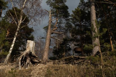 Yuvarlak bir Barbekü ızgara ve bir soy ile bir tepede bir ormanda bir plajda küçük piknik yeri