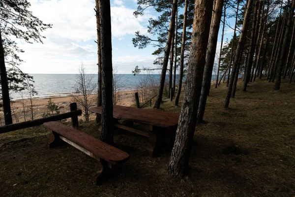 Krásné vzdálené piknikové a kempinkové místo nedaleko Baltského moře v borovicovém lese s balvanovou pláží v pozadí-Vezemoju Klintis, Lotyšsko, duben, 2019 — Stock fotografie