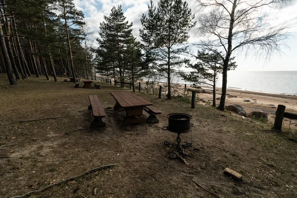 Gyönyörű távoli piknik és kemping helyszínen, közel a Balti-tenger egy fenyves erdőben egy szikla strand a háttérben-Veczemju Klintis, Lettország, április, 2019 — Stock Fotó