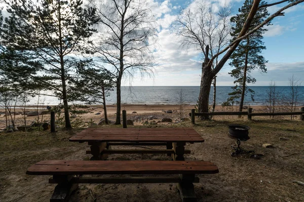 Gyönyörű távoli piknik és kemping helyszínen, közel a Balti-tenger egy fenyves erdőben egy szikla strand a háttérben-Veczemju Klintis, Lettország, április, 2019 — Stock Fotó