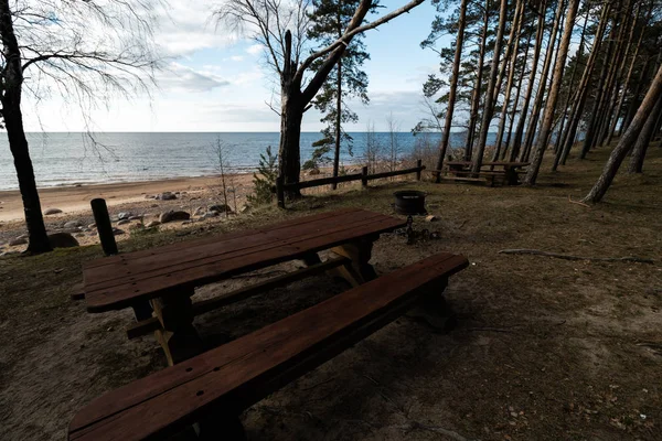 Piękny odległy piknik i Camping spot w pobliżu Bałtyku w lesie sosnowym z plażą w tle Boulder-Veczemju Klintis, Łotwa, Kwiecień, 2019 — Zdjęcie stockowe