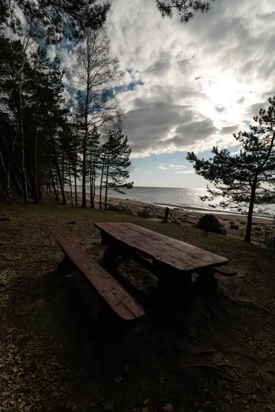 Bellissimo pic-nic lontano e campeggio vicino a un Mar Baltico in una pineta con una spiaggia di massi sullo sfondo - Veczemju Klintis, Lettonia, aprile, 2019 — Foto Stock