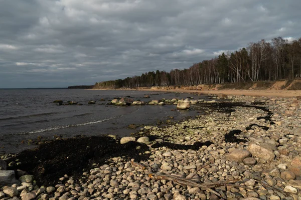 Veczemju Klintis - Playa de rocas en el país báltico Letonia en abril de 2019 - Cielo nublado con nubes opacas y un poco de sol — Foto de Stock