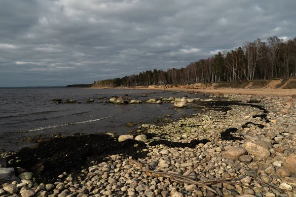 Veczemju Klintis-Boulder plaży w Bałtyku kraju Łotwa w kwietniu 2019-zachmurzone niebo z nudnych chmur i trochę słońca — Zdjęcie stockowe