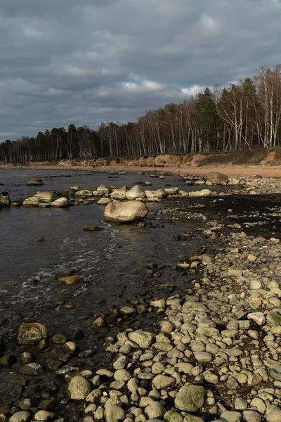 Veczemju Klintis-Boulder Beach i baltiska landet Lettland i april 2019-molnigt himmel med dova moln och lite sol — Stockfoto