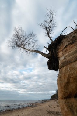 Güzel kum deseni ve canlı kırmızı ve turuncu renk ile Baltık Denizi 'nde kireçtaşı plaj-duvarlar ve kayalar ve kum üzerinde turist yazıları-Veczemju Klintis, Letonya-13 Nisan 2019