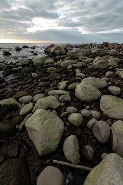 Yeşil yosun kaplı kayalar ile bulutlu bir günbatımı sırasında Boulder Beach-Veczemju Klintis, Letonya-13 Nisan 2019