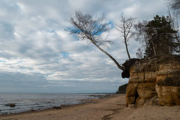 美しい砂のパターンと鮮やかな赤とオレンジ色でバルト海の石灰岩のビーチ-壁や岩や砂に観光の文章-Veczemju Klintis、ラトビア-4 月13、2019 — ストック写真